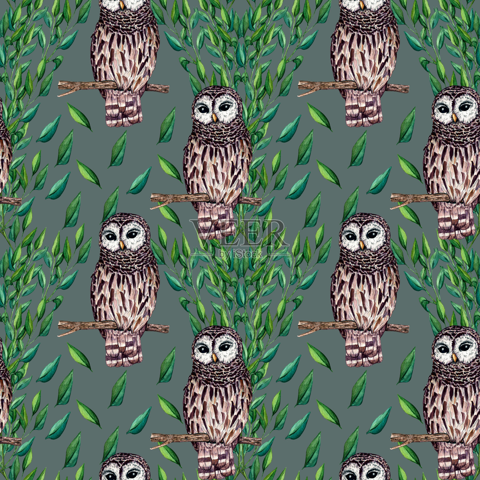水彩无缝图案猫头鹰和树枝与绿叶隔离在白色的背景。林地自然插图为儿童设计，明信片，海报和印刷。幼儿园设计的剪贴画。插画图片素材