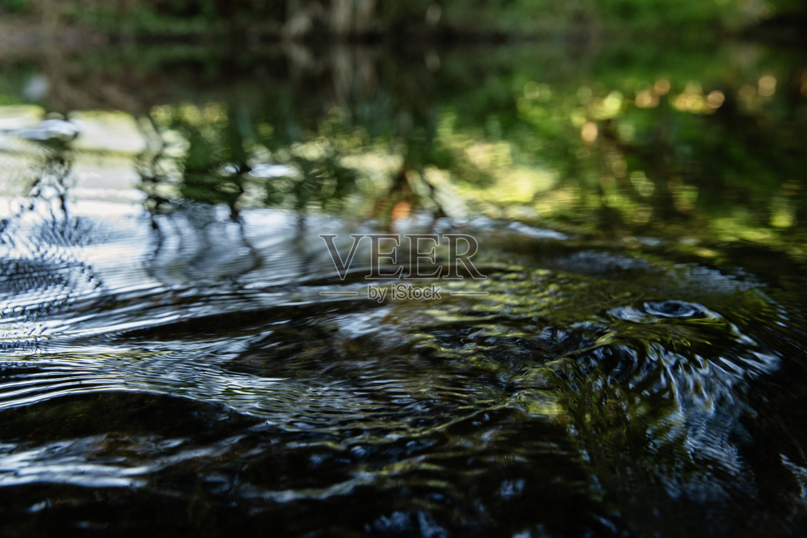 倒映在水中的树木照片摄影图片