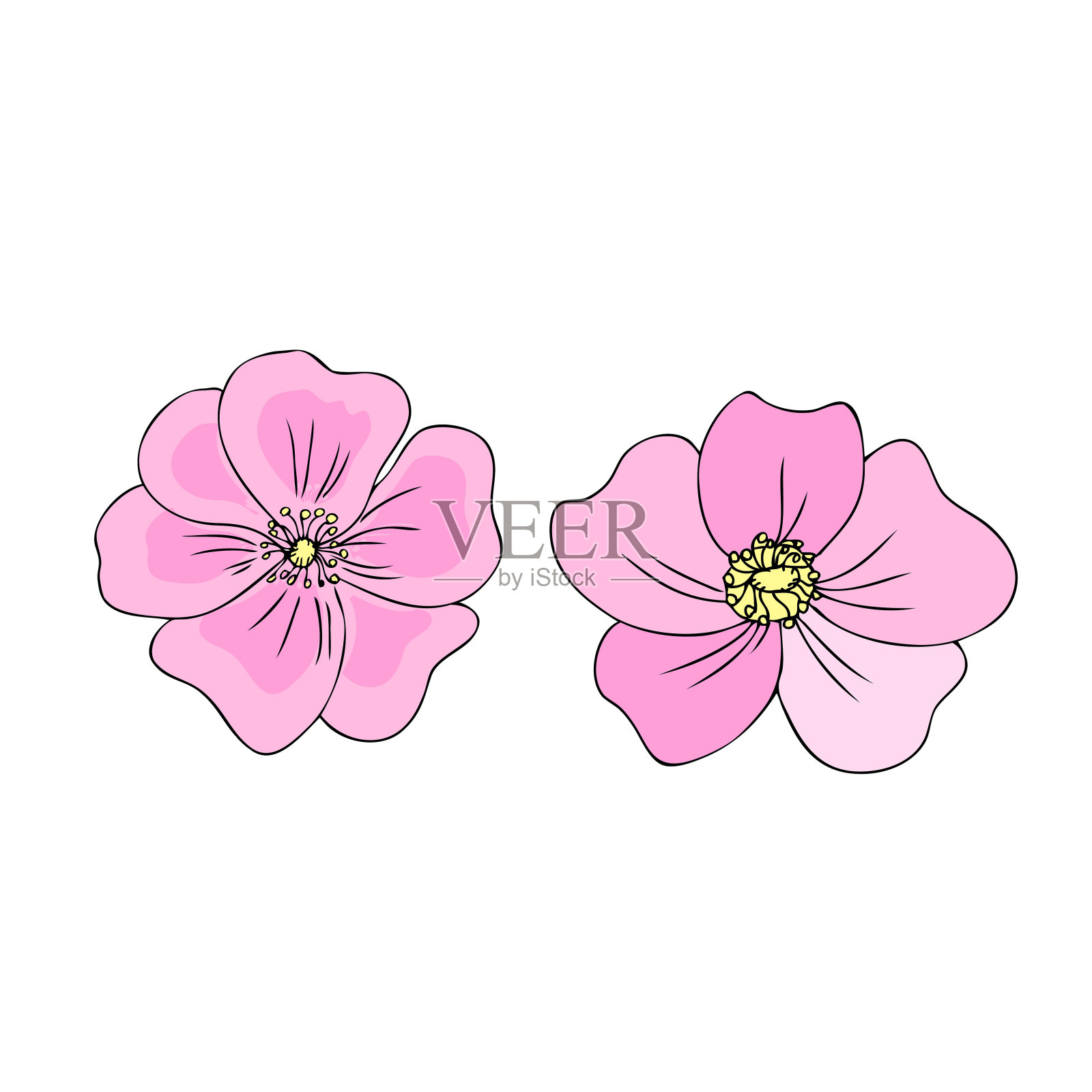 野玫瑰，野蔷薇，手绘狗玫瑰矢量插图隔离在白色背景上，装饰玫瑰果彩色元素设计化妆品，天然药物，凉茶，健康有机食品插画图片素材