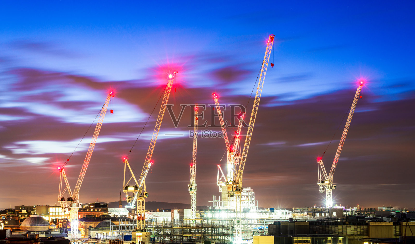 在蓝色的时辰里，被照亮的鹤照片摄影图片