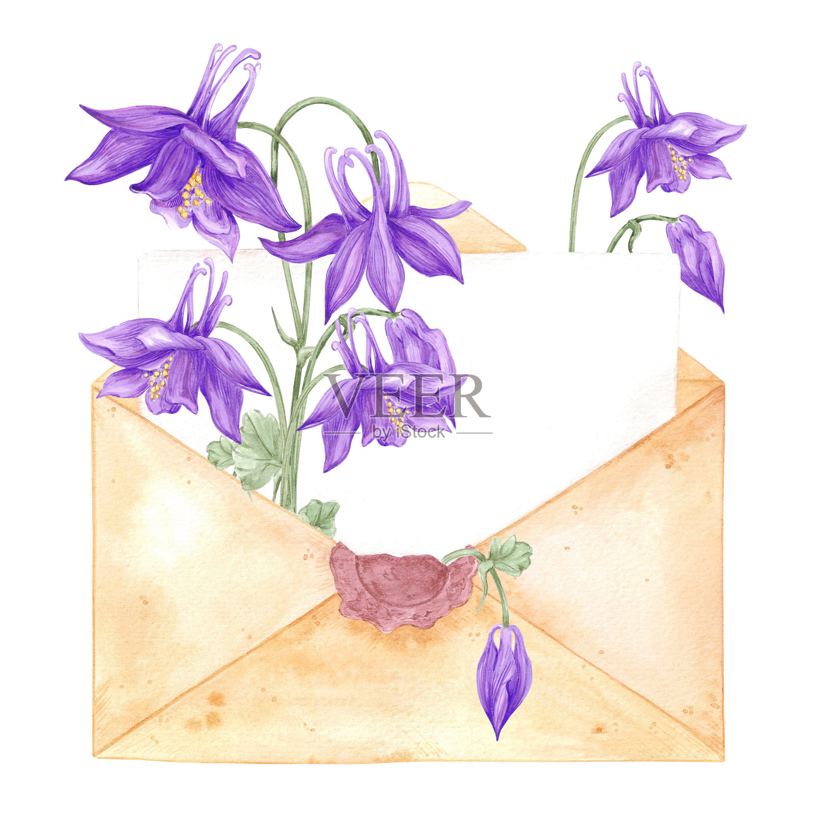 手绘水彩信与水仙花隔离在白色背景上。可用于卡片、剪贴簿等印刷品。插画图片素材