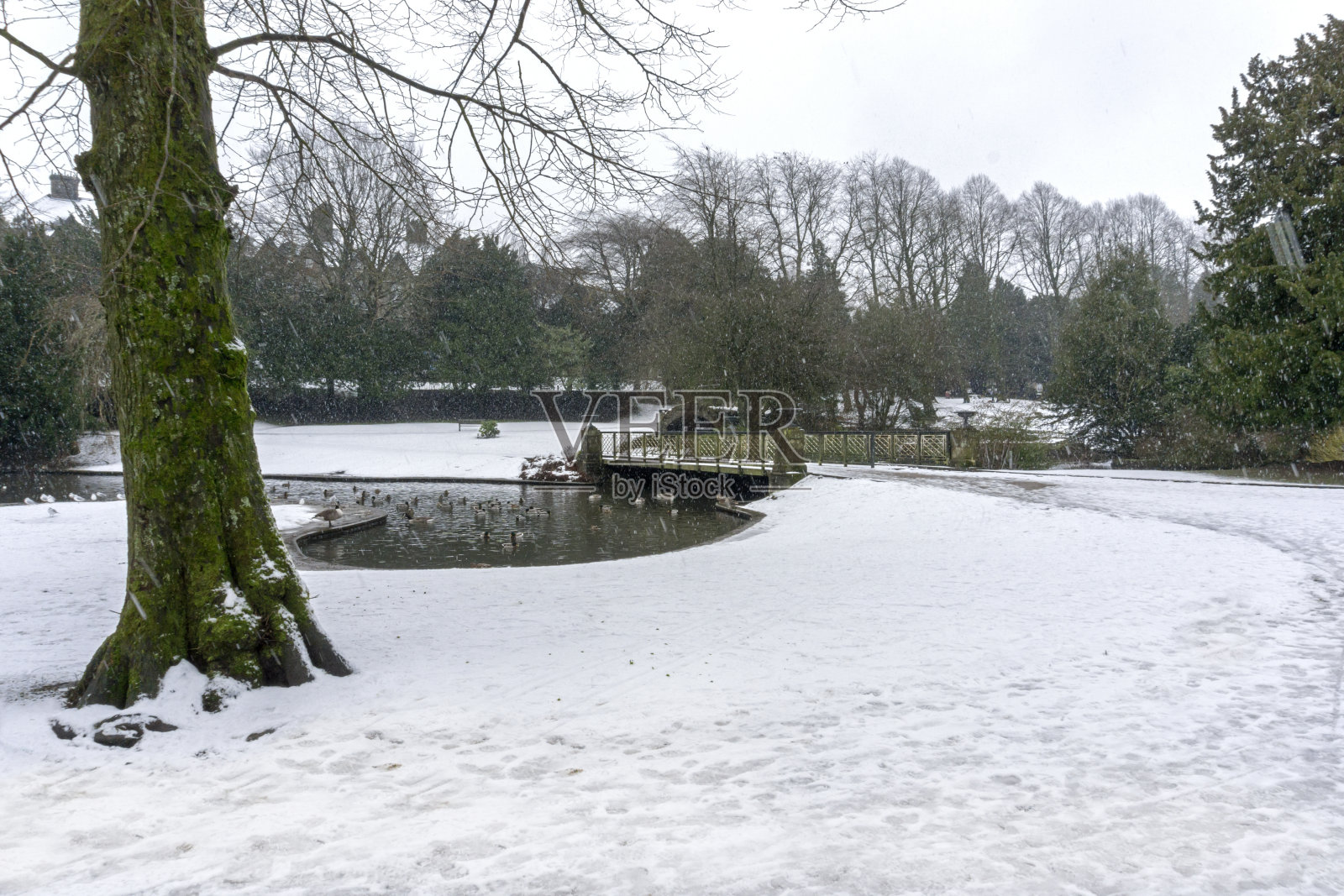 巴克斯顿亭花园照片摄影图片