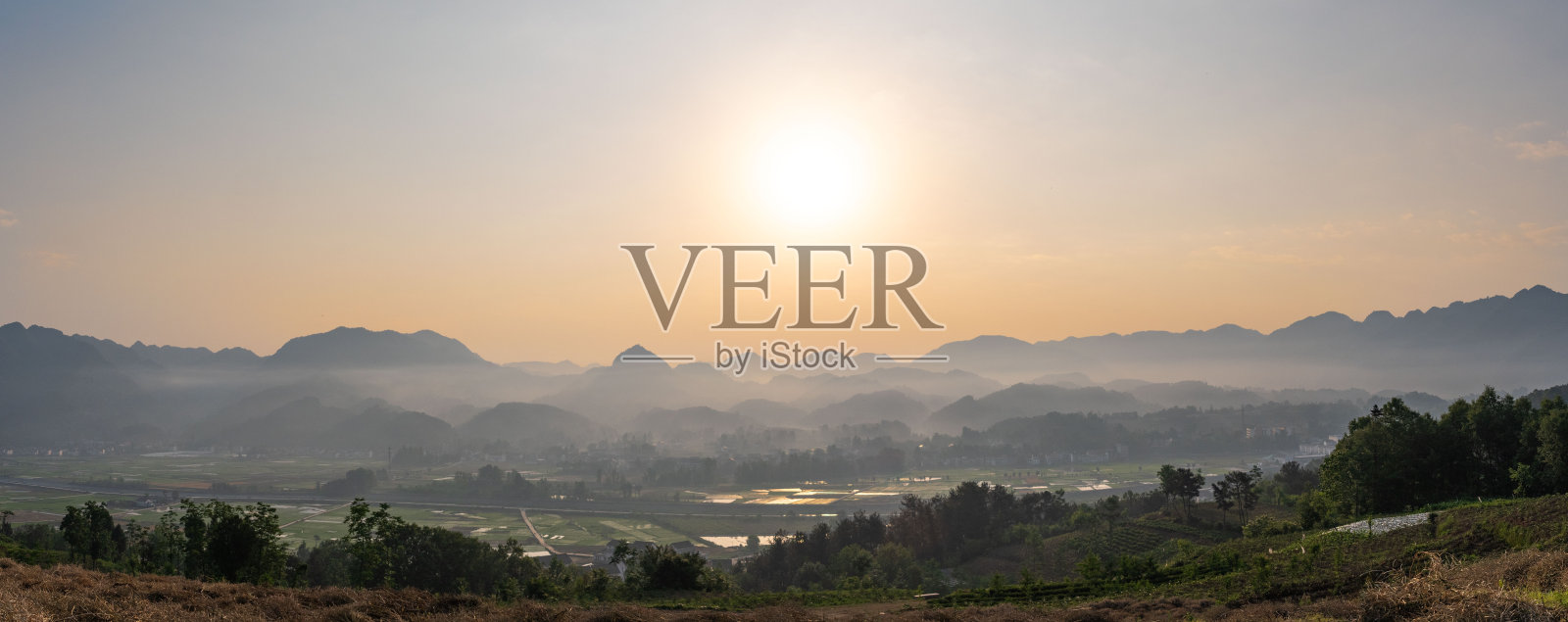 茶山的早晨照片摄影图片