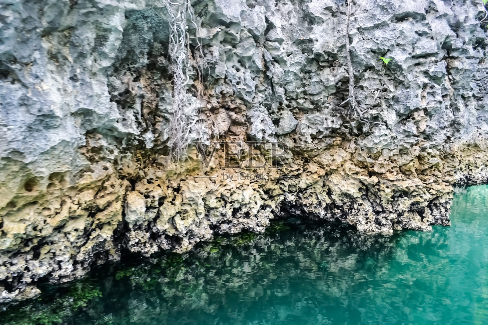 拉贾安帕岛照片摄影图片