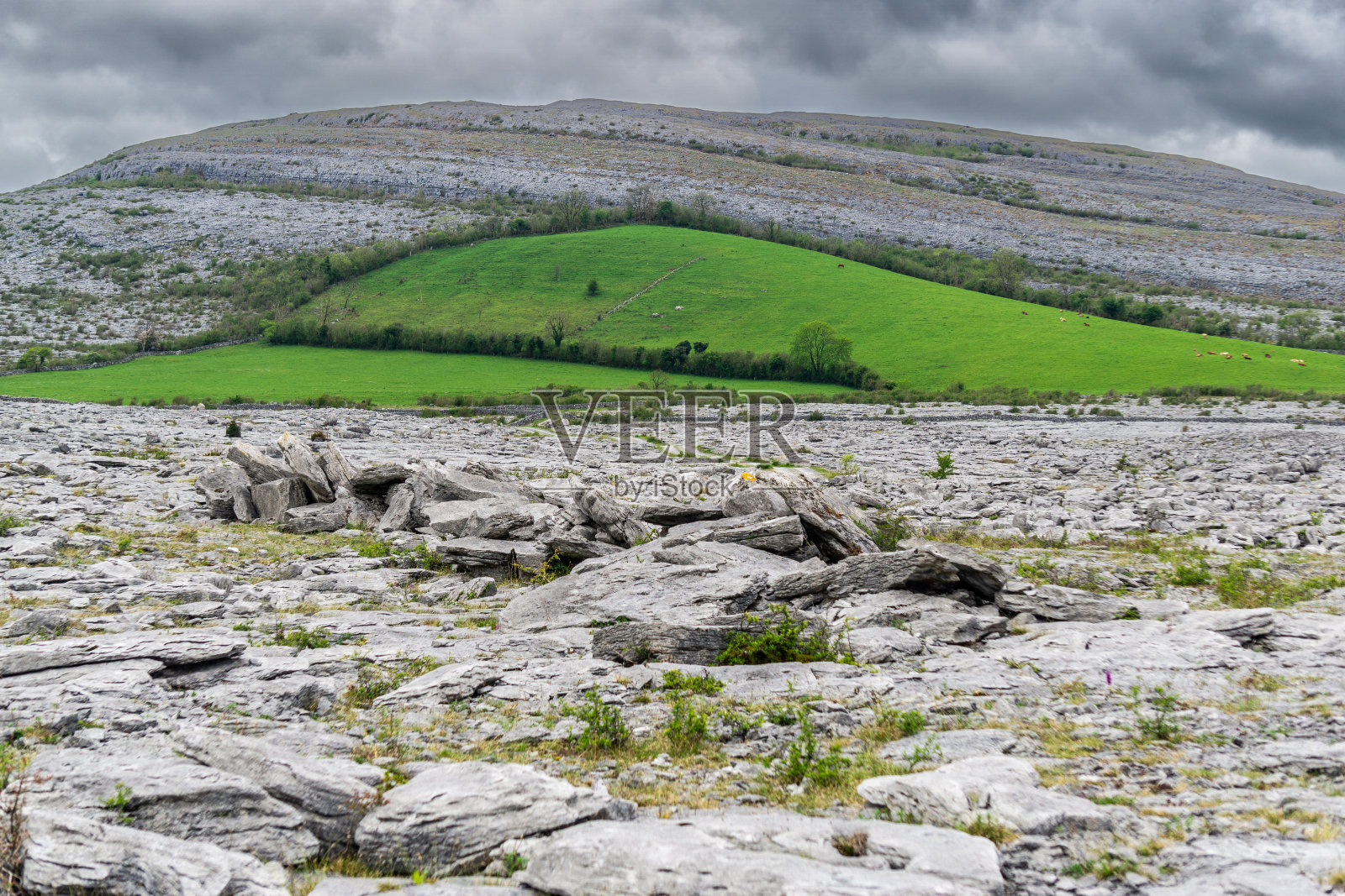 爱尔兰克莱尔郡的伯伦地质公园喀斯特地貌地标照片摄影图片