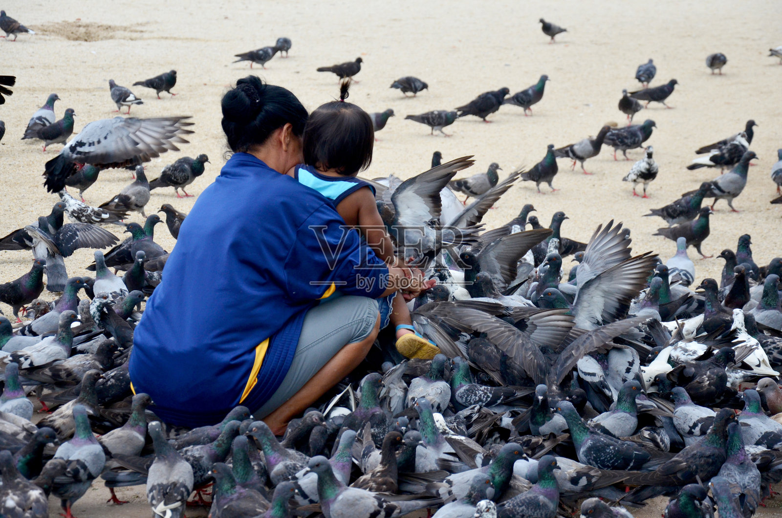 泰国人给鸽子喂食照片摄影图片