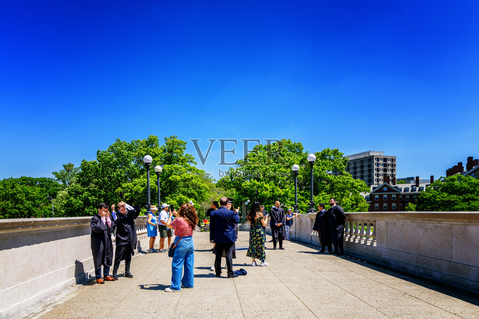 拍摄大学毕业生-约翰威克斯桥-哈佛大学-剑桥马萨诸塞州照片摄影图片