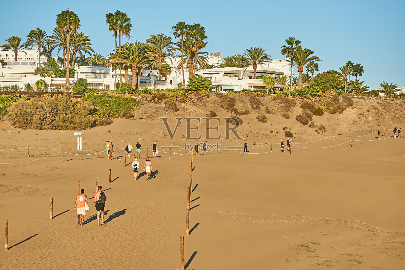 大加那利岛照片摄影图片