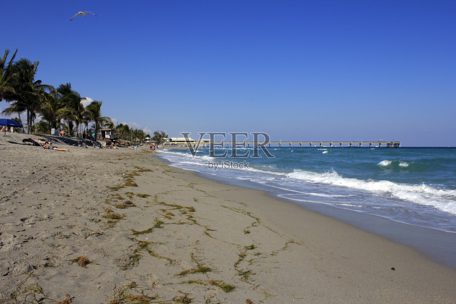达尼亚海滩的人们放松照片摄影图片