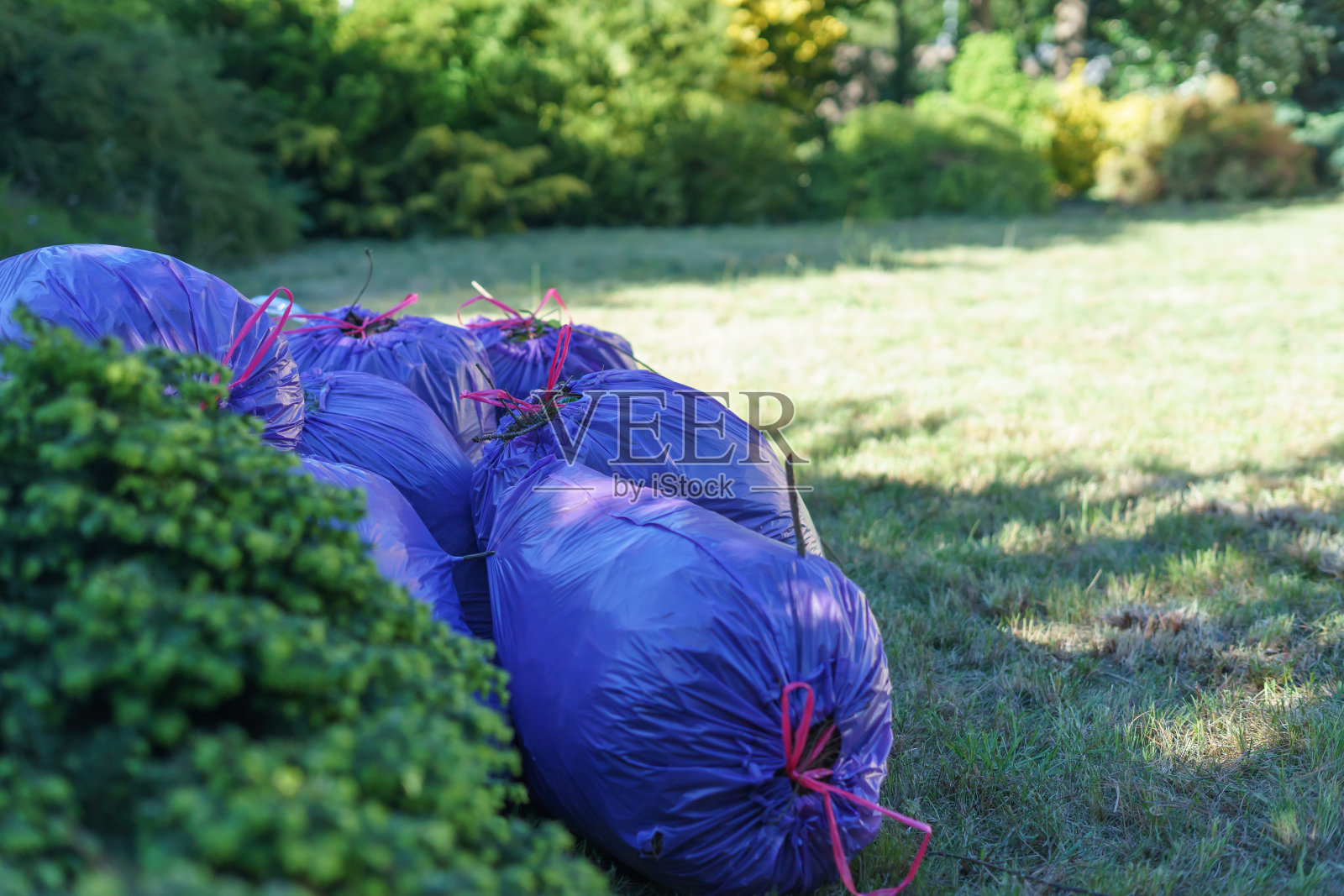 装草的袋子放在花园里照片摄影图片