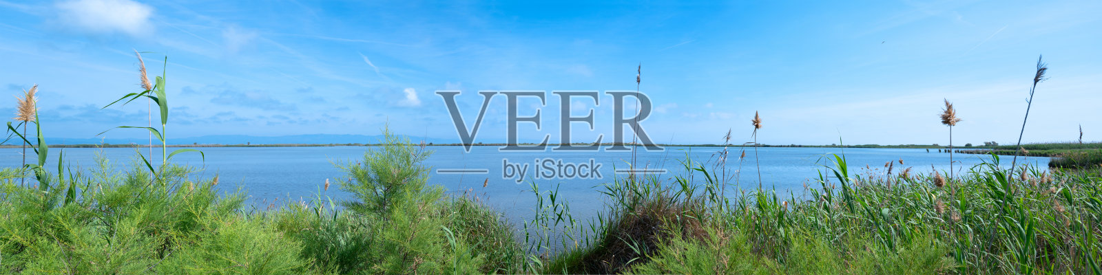 埃布罗河在加尔萨尔的全景，埃布罗三角洲照片摄影图片