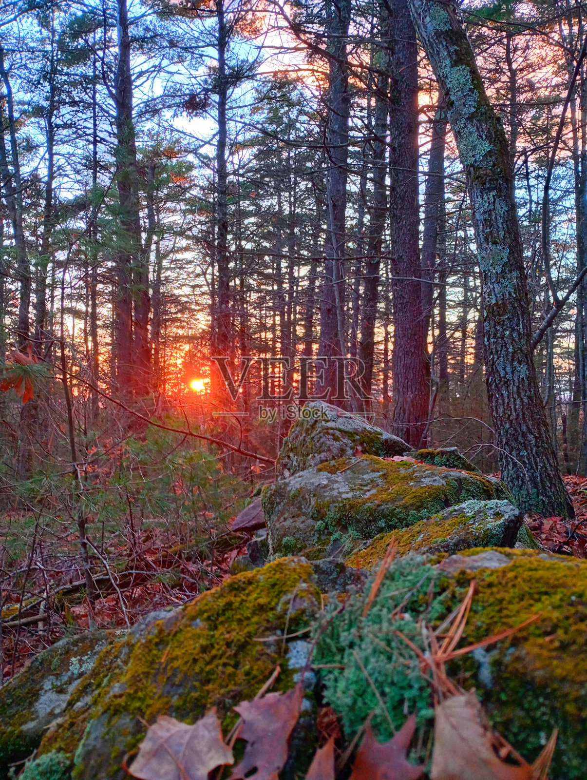 印度的日落照片摄影图片