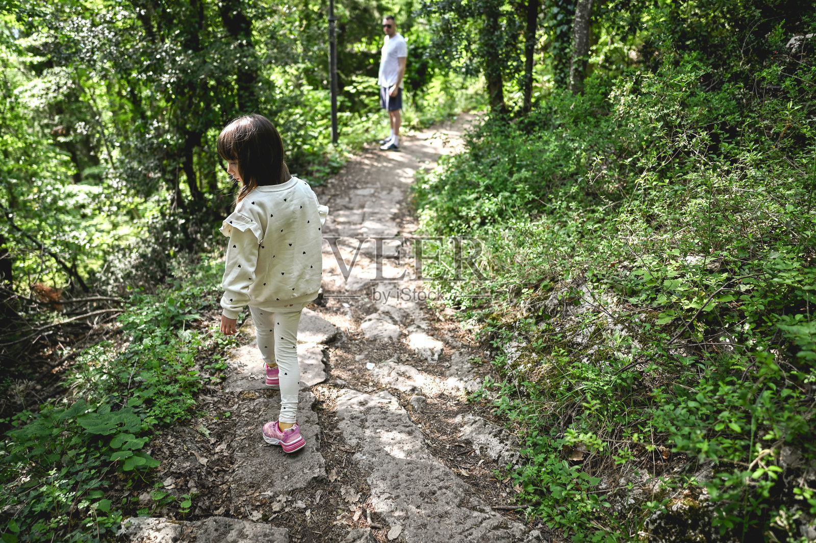 家在一片绿色的森林里。照片摄影图片