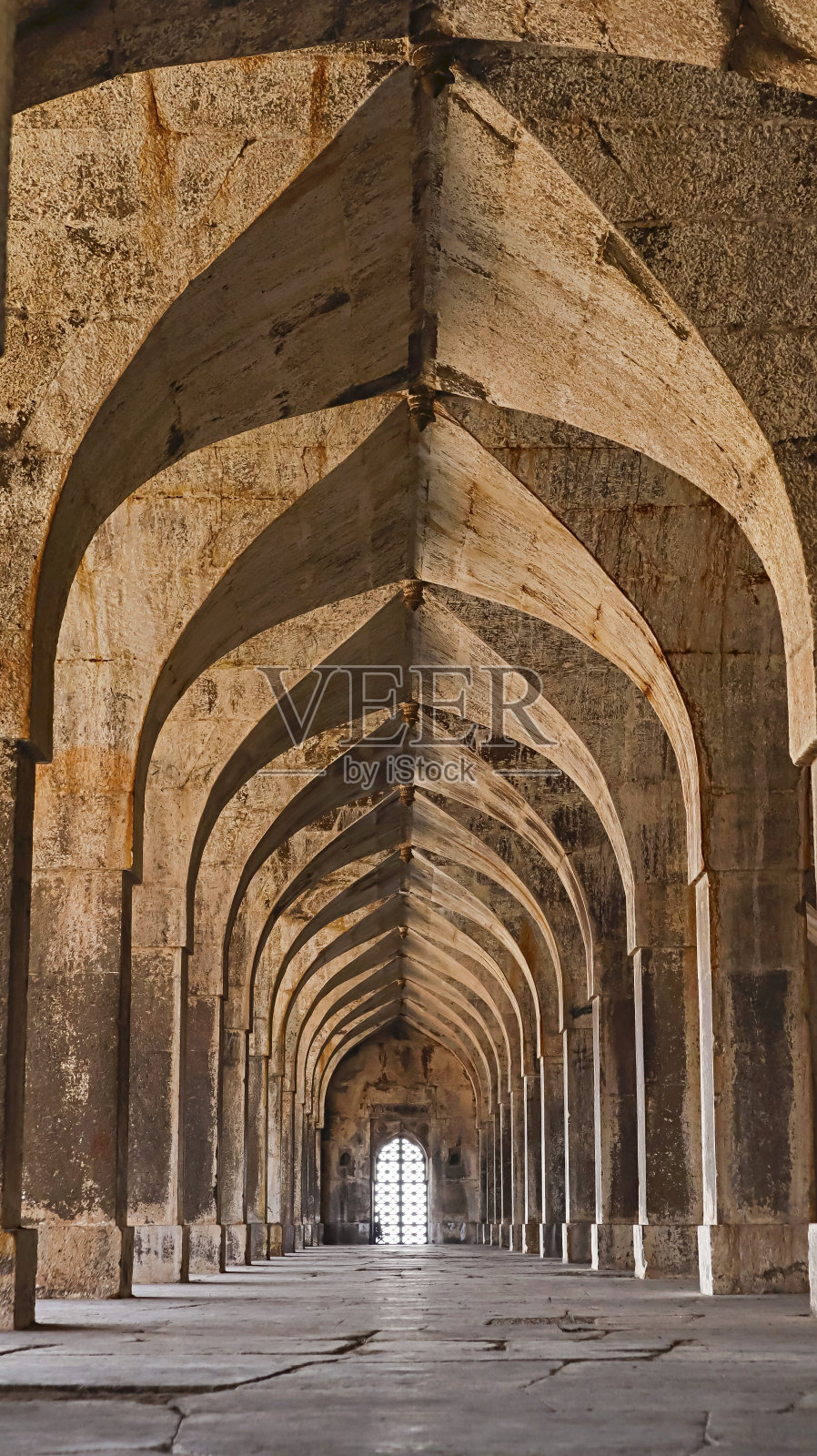 印度中央邦布尔汉布尔的Aseergarh清真寺内的建筑。照片摄影图片