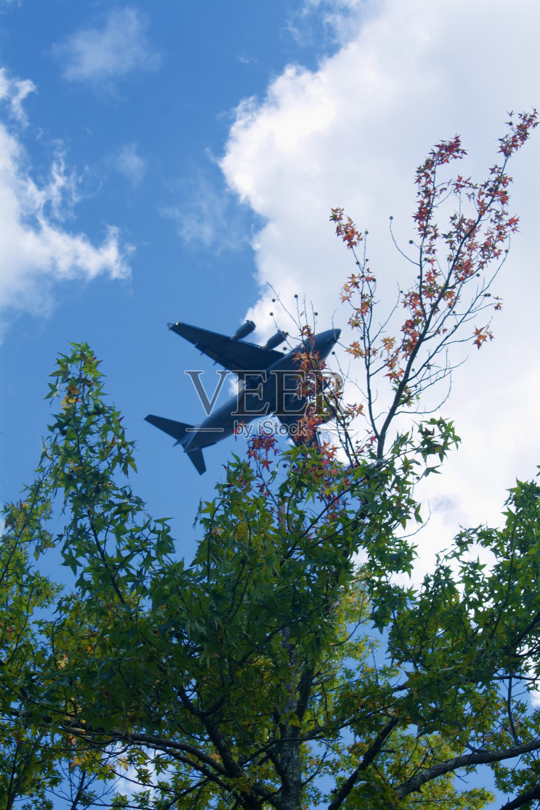 飞机投掷树照片摄影图片