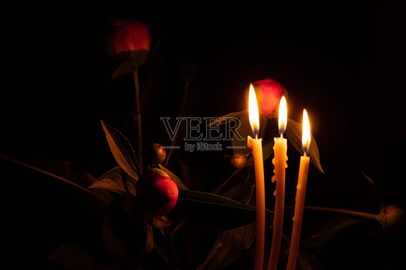 烛焰与牡丹暗花似锦，花好月圆照片摄影图片