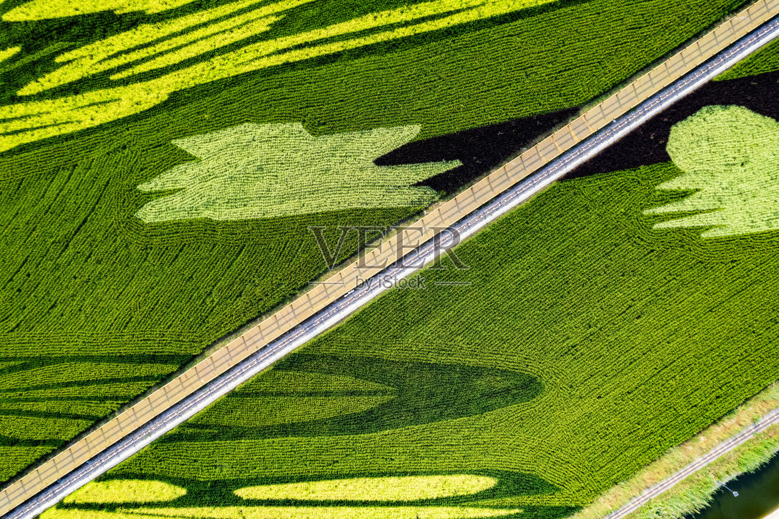 稻田的航空照片照片摄影图片
