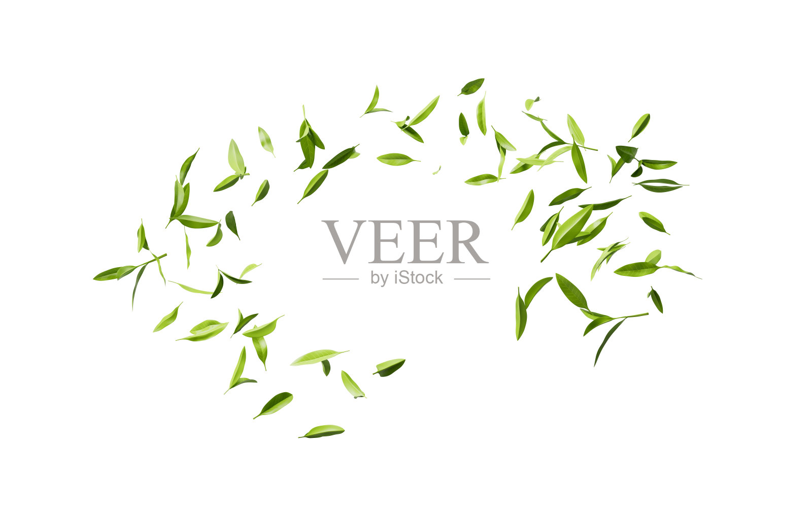 绿色天然茶叶，3d渲染。照片摄影图片