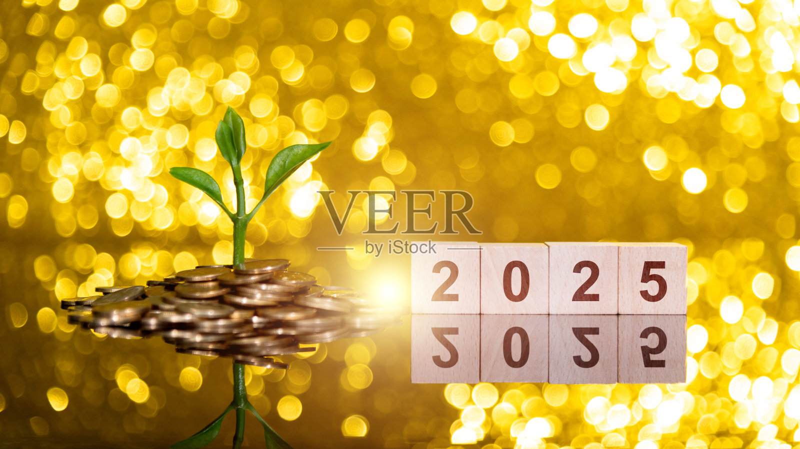 硬币堆中的小植物树，文字为2025照片摄影图片