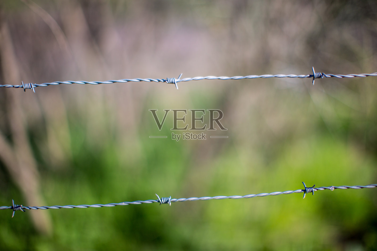 一个阳光明媚的日子里，西班牙铁丝网的选择性焦点照片摄影图片