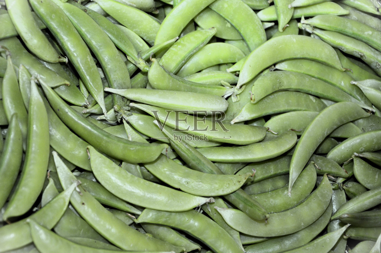 展出的几粒豌豆照片摄影图片