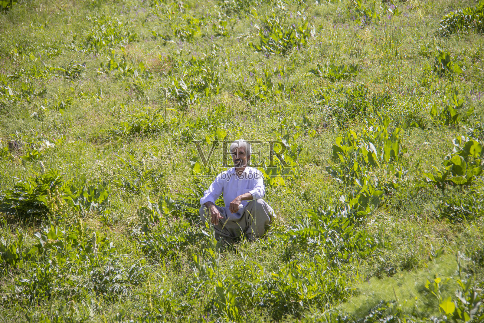 库尔德男人照片摄影图片