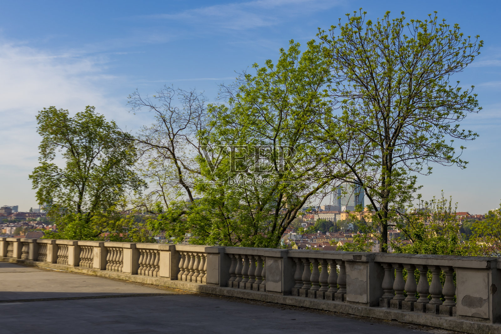 哈夫利切克花园的城市天际线景观照片摄影图片