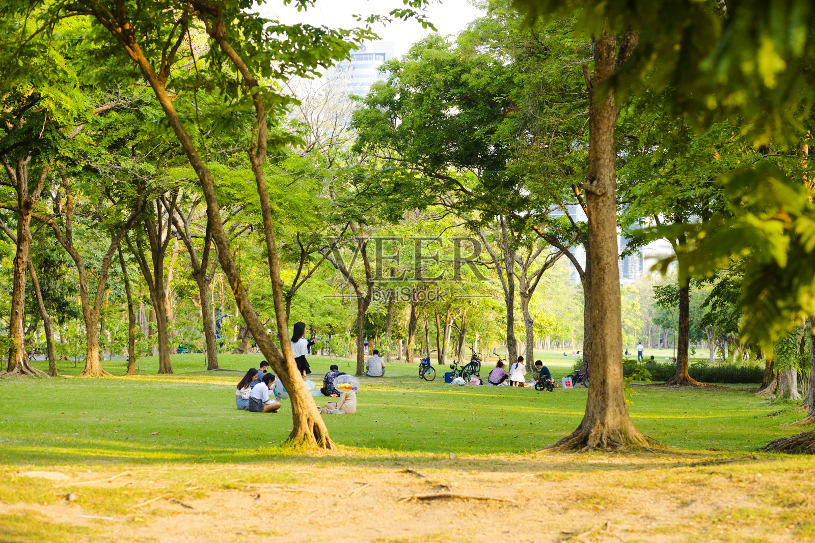 泰国人在草地上放松休息,年轻女性照片摄影图片