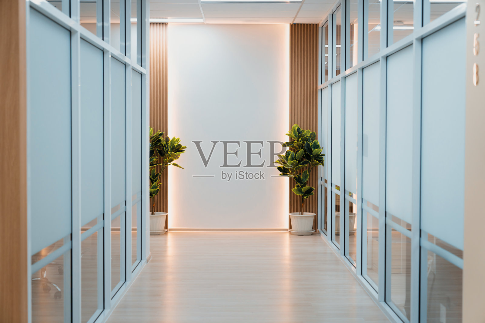 空荡荡的现代办公室，明亮的走廊，玻璃墙。大厅。装饰。照片摄影图片