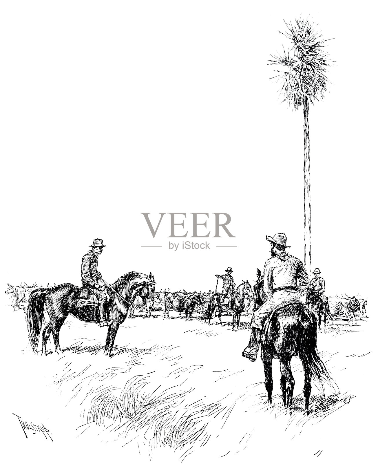 巴拉圭的牧场插画图片素材