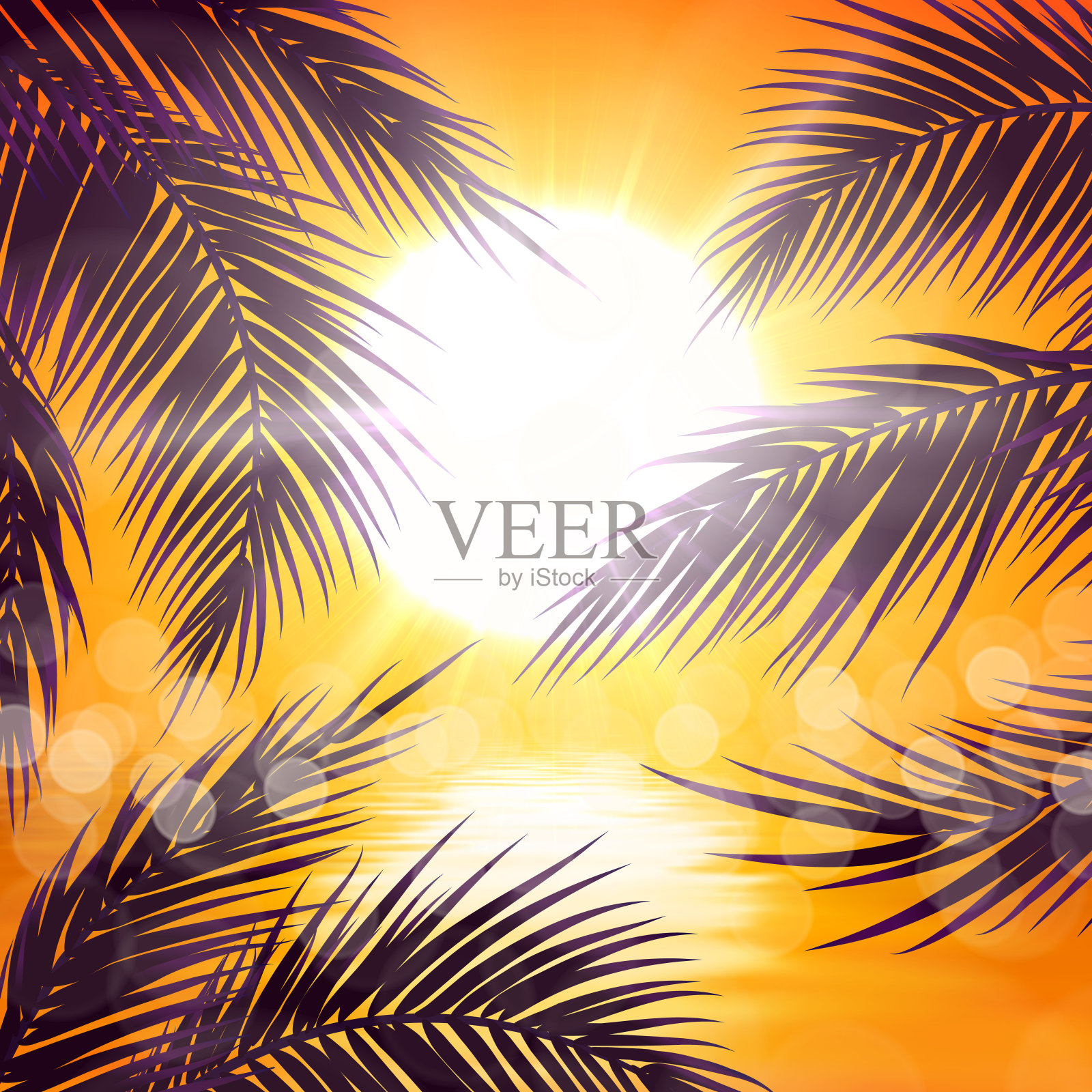 热带日落与棕榈叶矢量插画图片素材