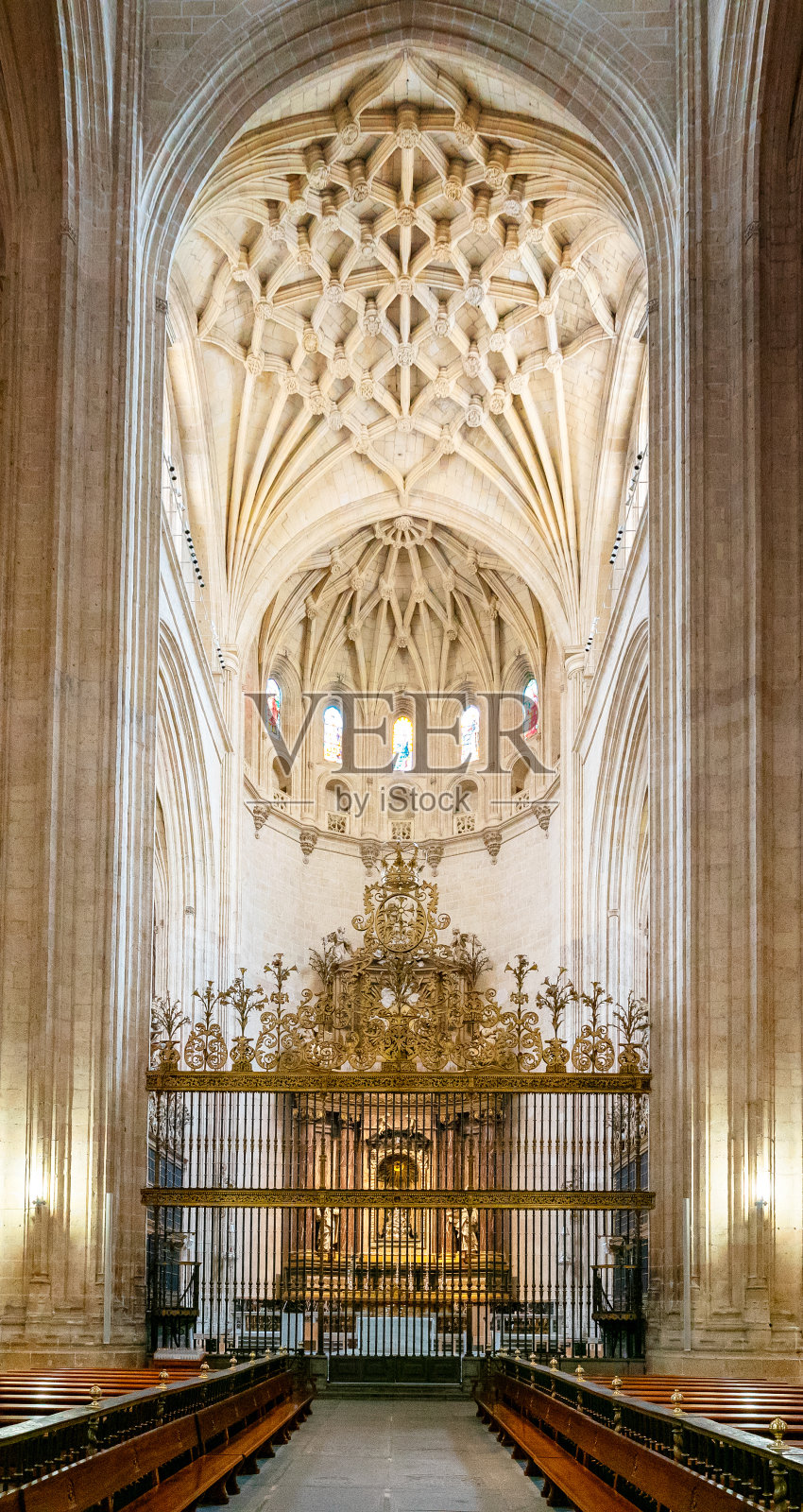 塞戈维亚大教堂中殿和祭坛的垂直全景图照片摄影图片