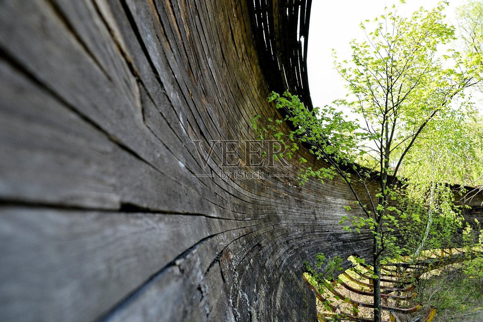 雪橇跟踪照片摄影图片