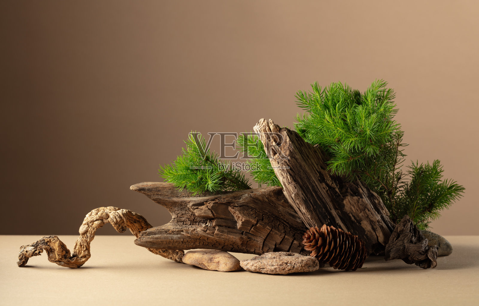 抽象的自然景观与组成的云杉树枝，石头，和干的障碍。照片摄影图片