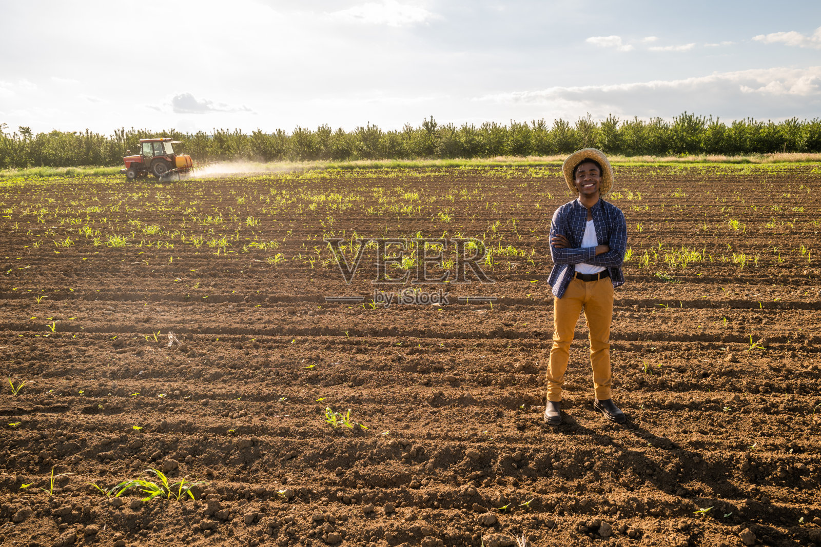 田间的农民照片摄影图片