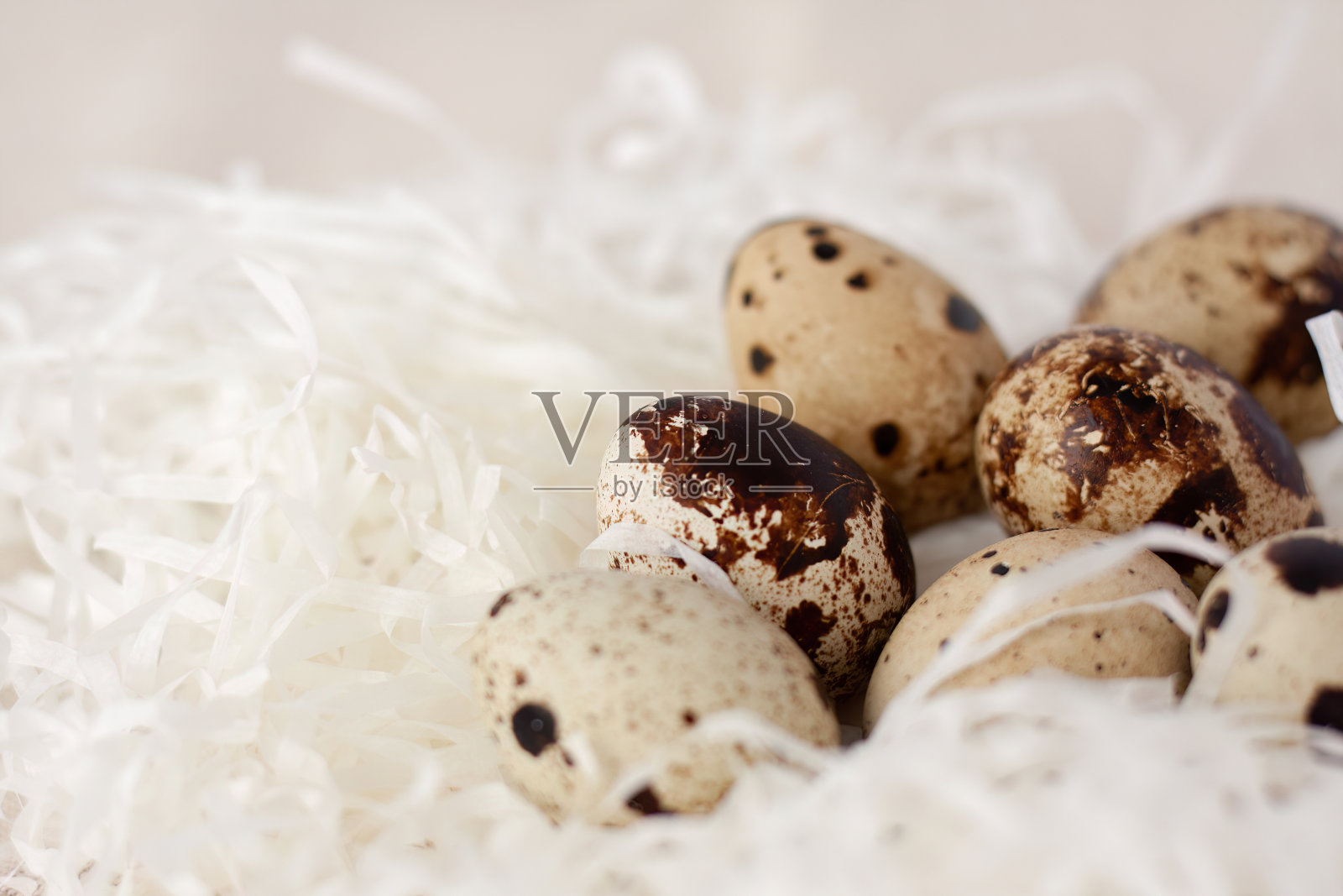 纸包装鹌鹑蛋。照片摄影图片