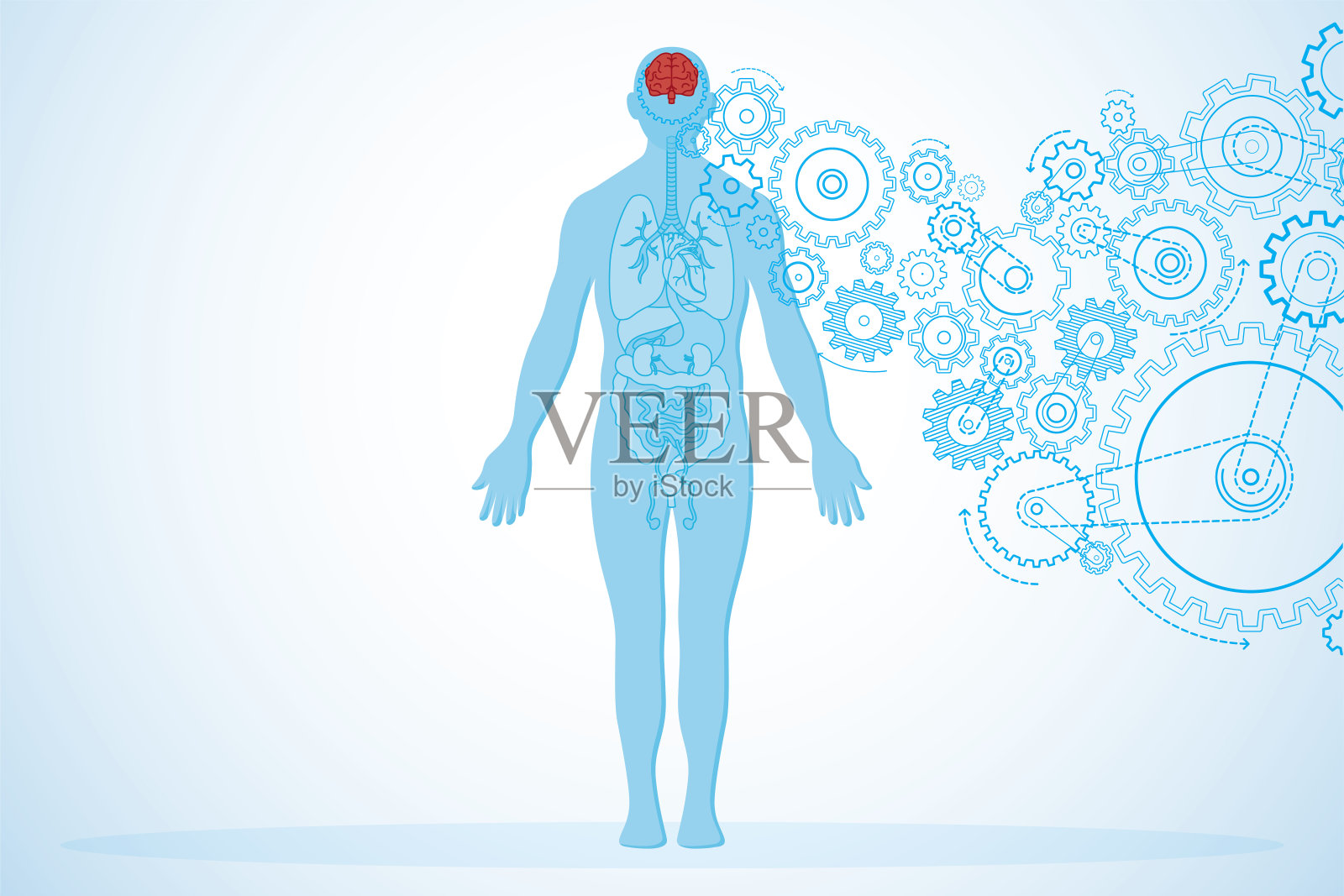 大脑健康和人体解剖学的转折点插画图片素材