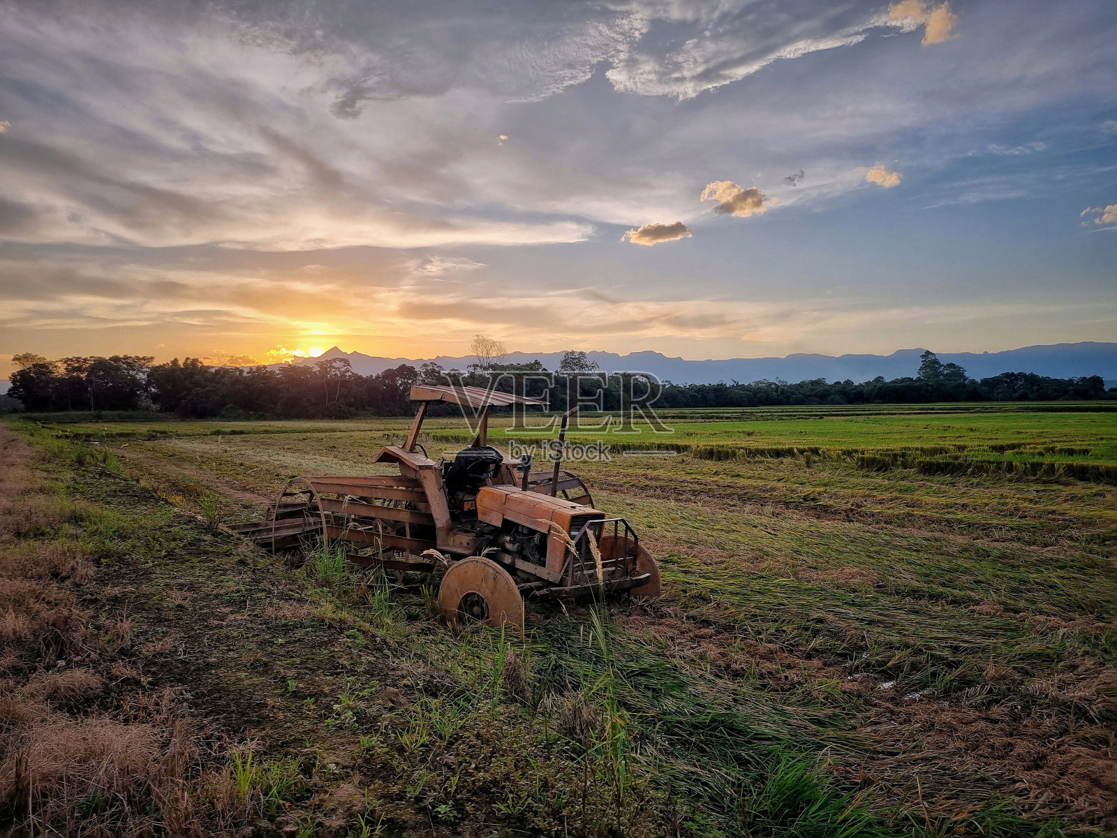夕阳在乡村的田野里。照片摄影图片