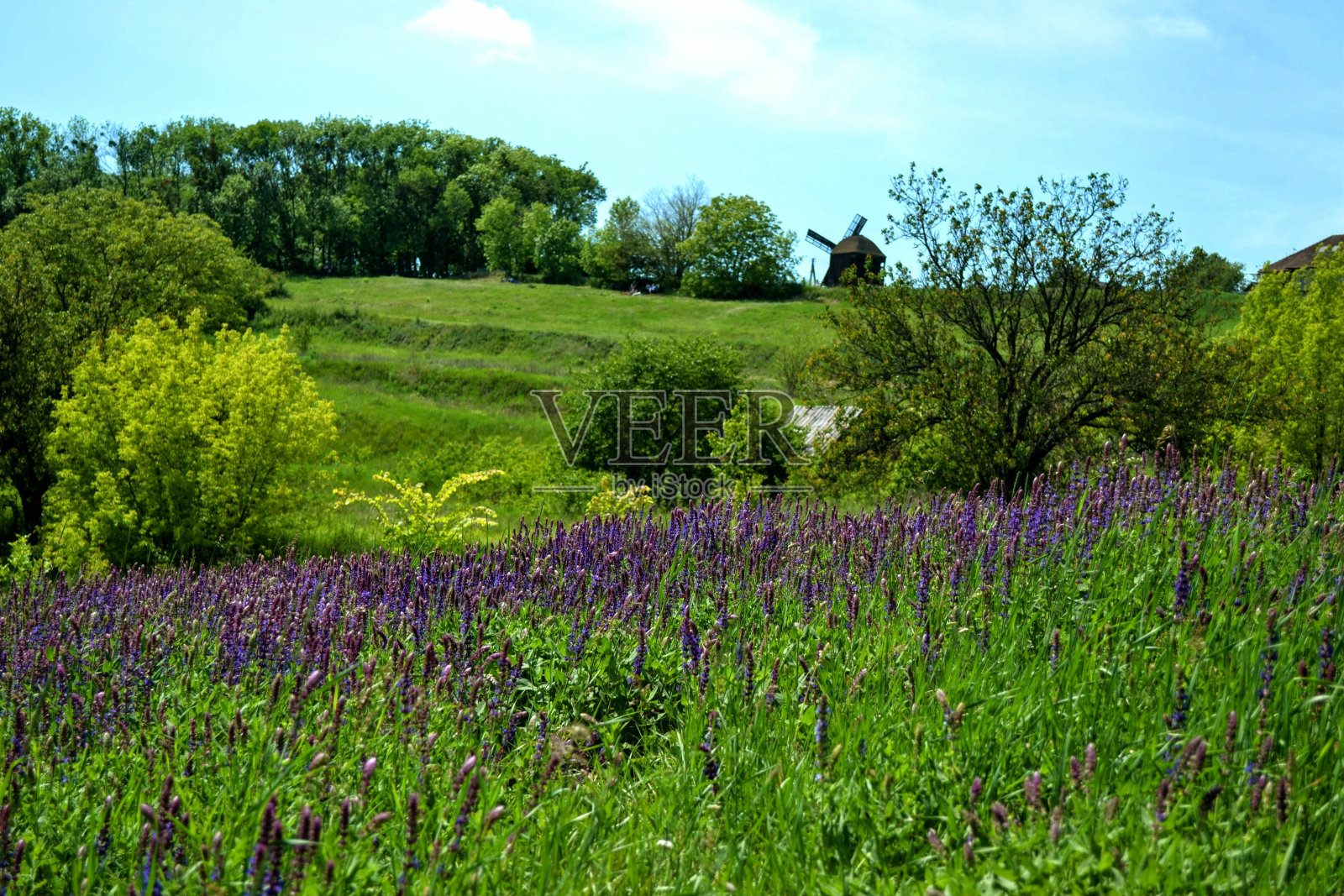 风车景观照片摄影图片