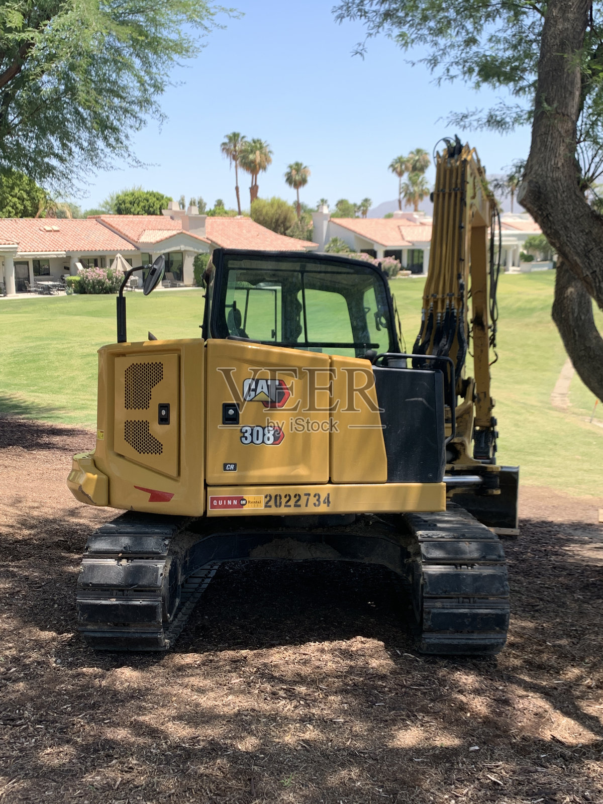 猫挖掘机照片摄影图片