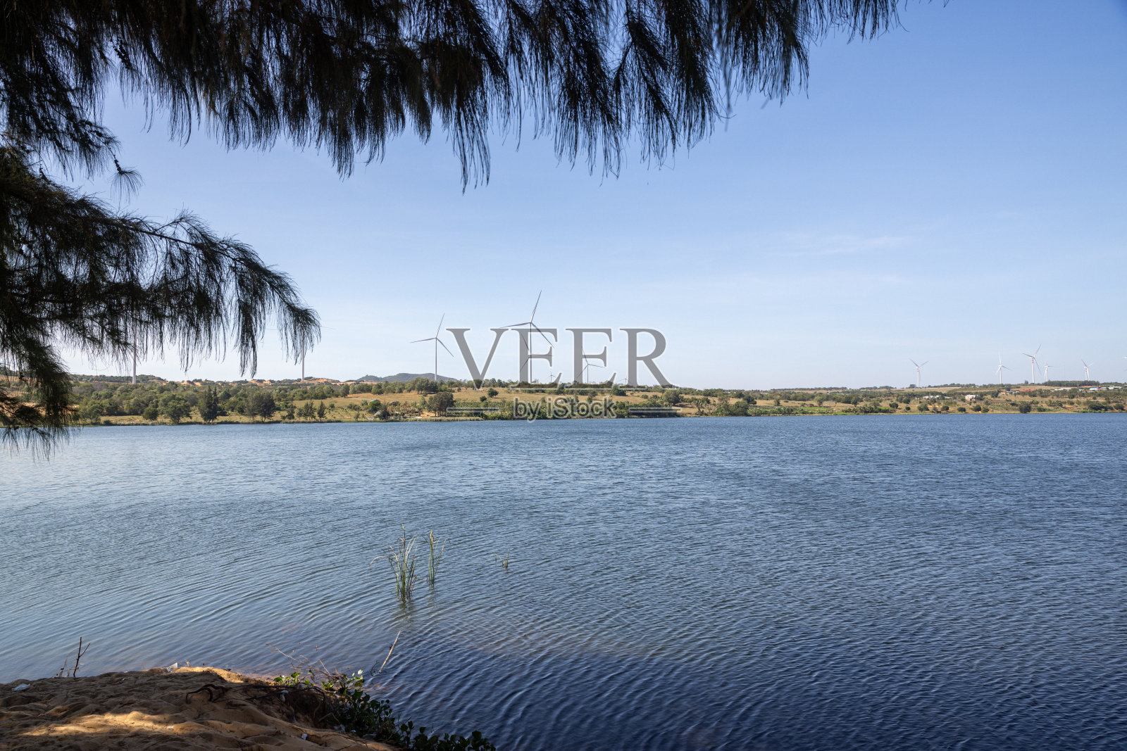 越南Mũi n<e:1>风力发电场可再生、可持续能源照片摄影图片