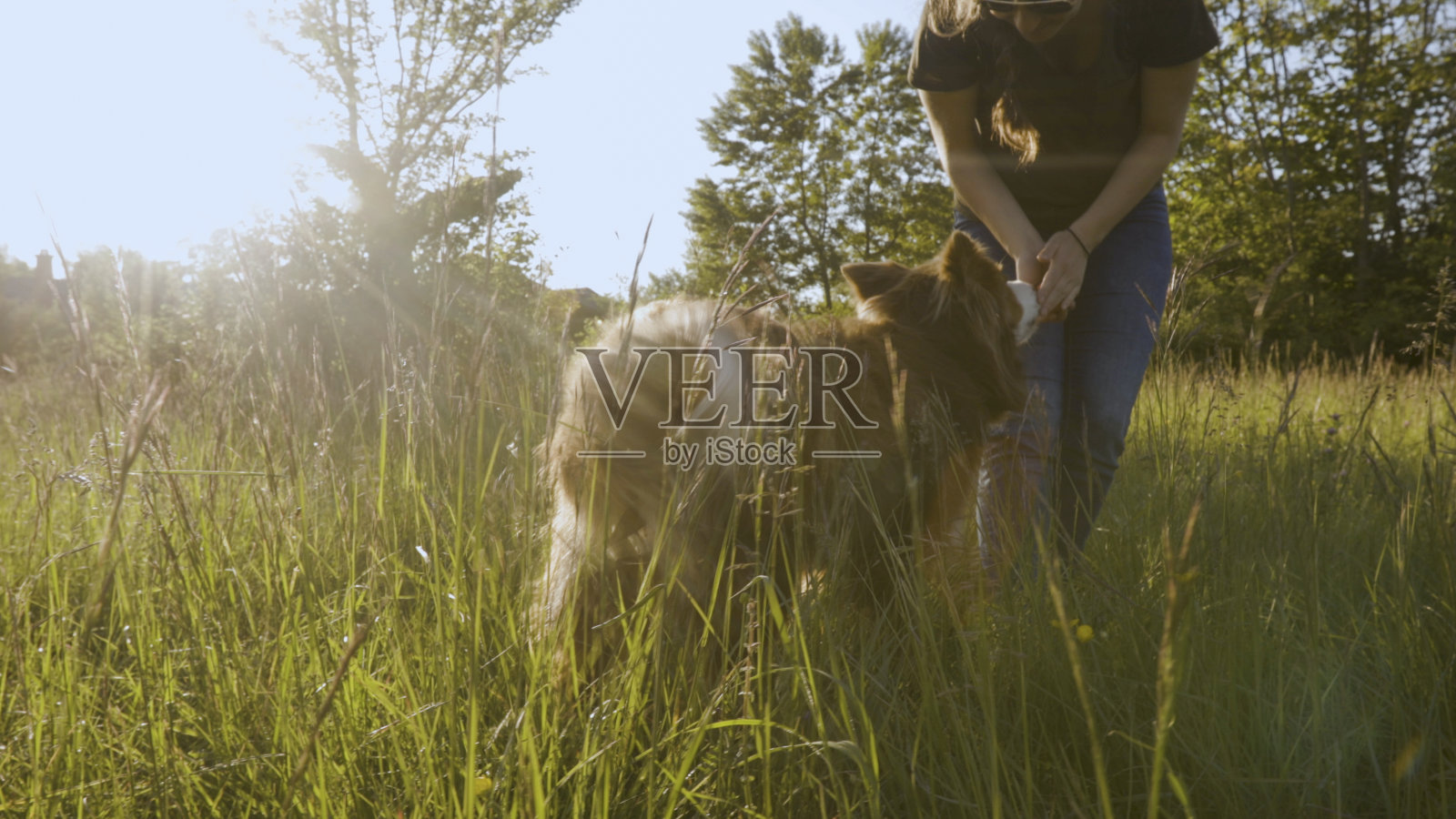 年轻女子和狗在草地上玩耍照片摄影图片