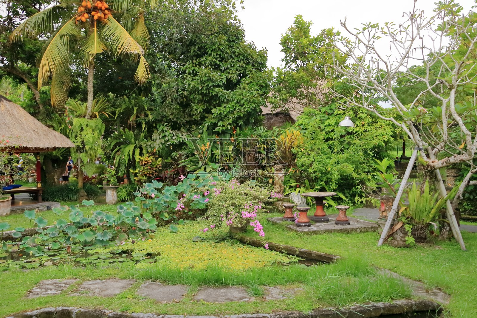 印度尼西亚巴厘岛的传统绿色花园照片摄影图片