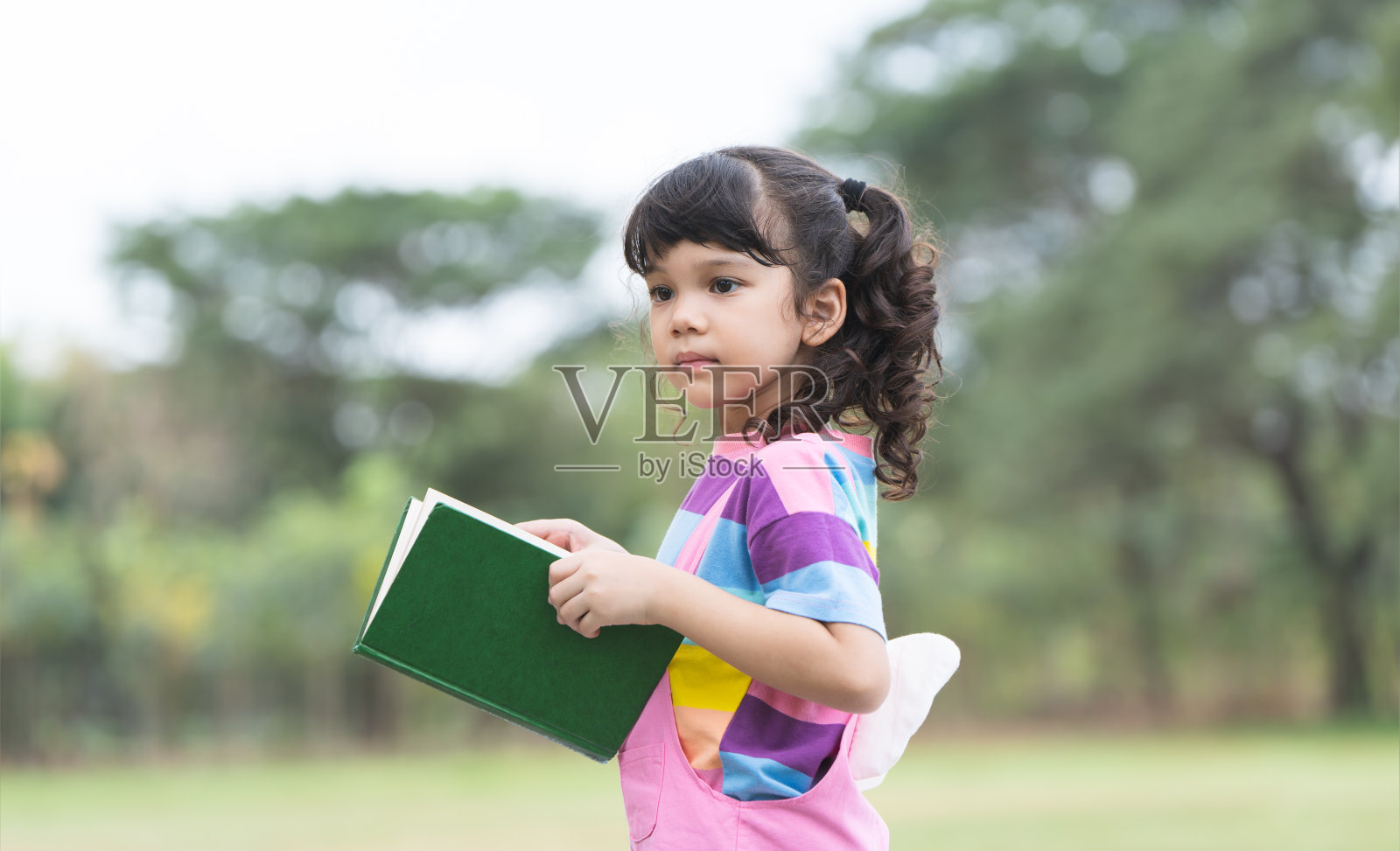 可爱的四岁白人小女孩的肖像，卷发，站着，拿着课本在公园看书。户外活动。教育照片摄影图片