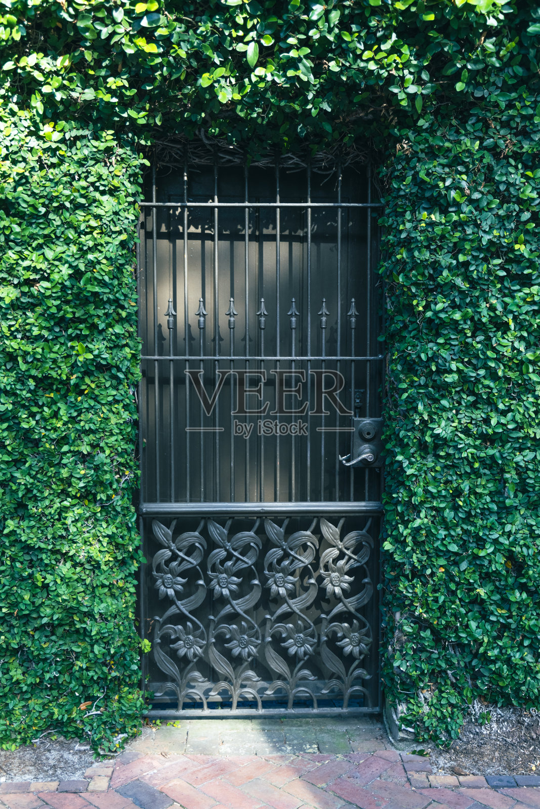 一扇古老的古色古香的铁门，四周是长满青藤的墙壁照片摄影图片
