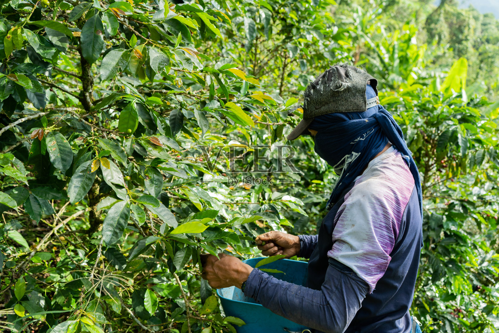 面目全非的人在现场工作照片摄影图片