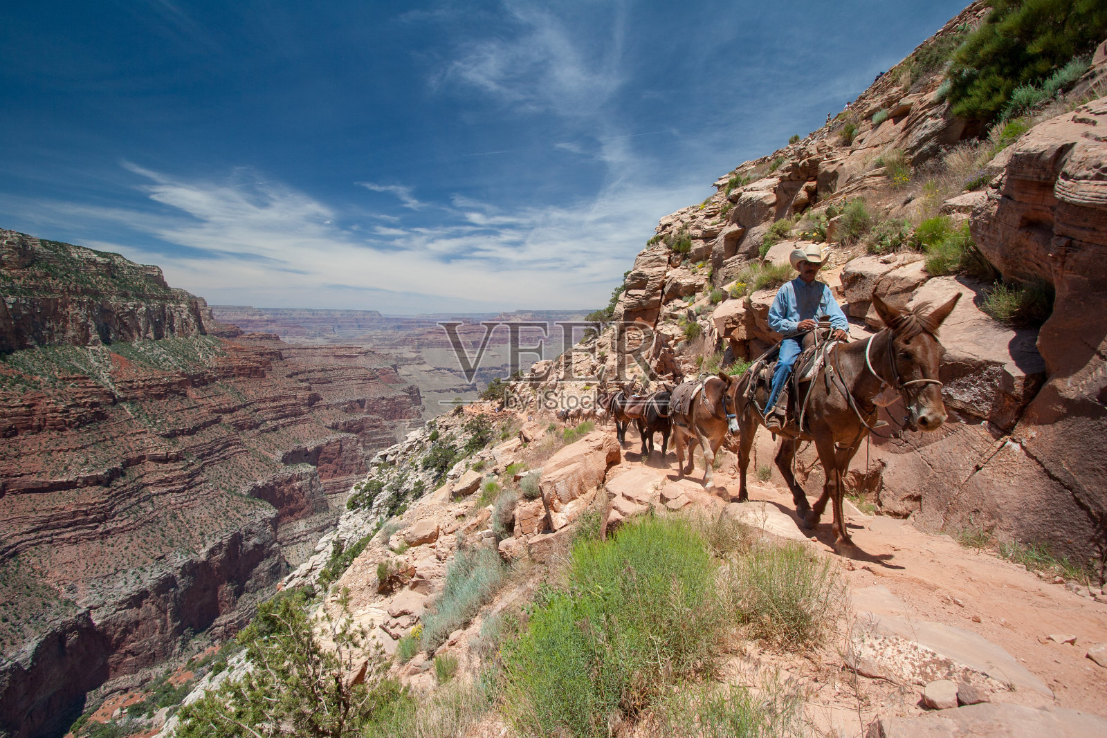 沿着大峡谷南凯巴布小道行进的骡子列车。照片摄影图片