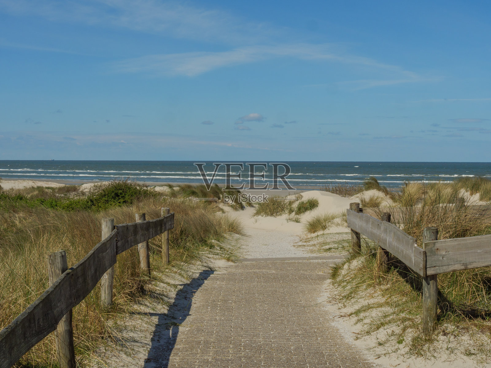 春天荷兰北海的内斯岛照片摄影图片