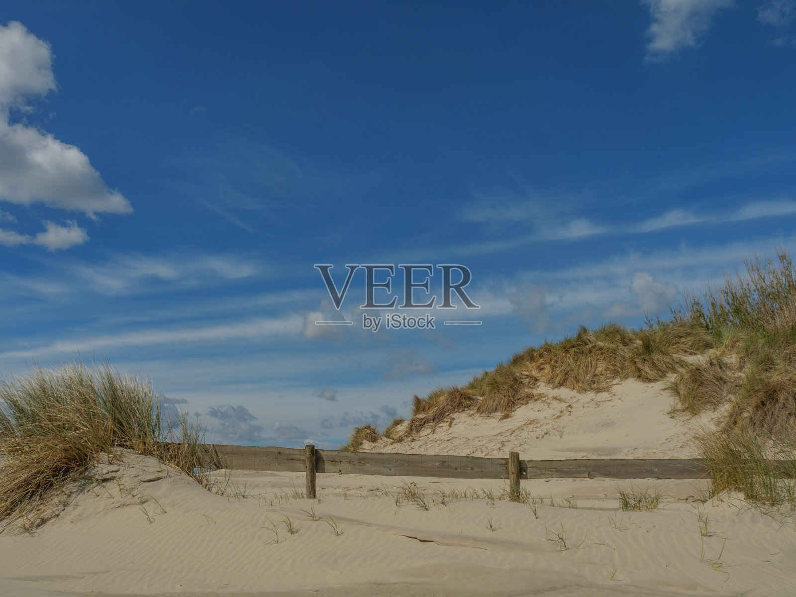 春天荷兰北海的内斯岛照片摄影图片