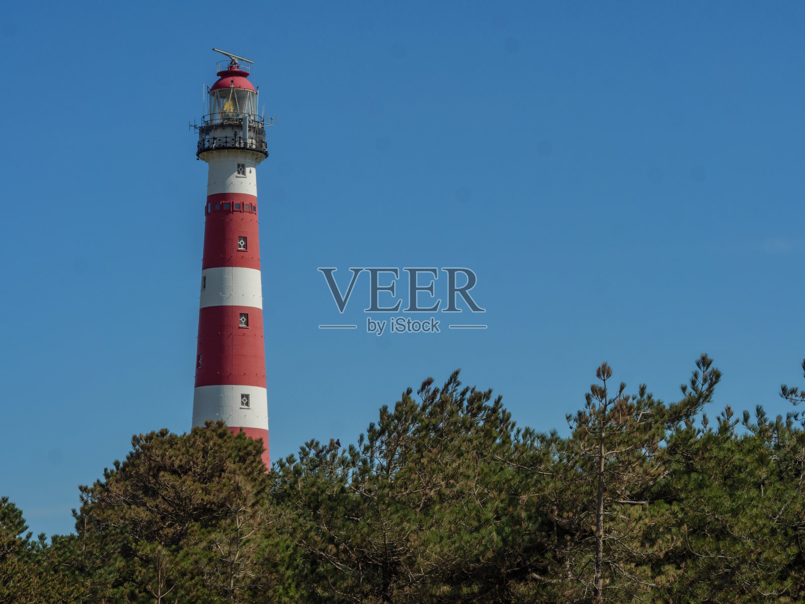 春天荷兰北海的内斯岛照片摄影图片